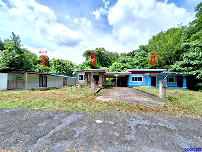 บ้านเดี่ยว ตรัง : บ้านเดี่ยว 154 ตร.วา รัษฎา ตรัง 2.9M