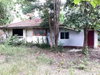 listing thumbnail image 28