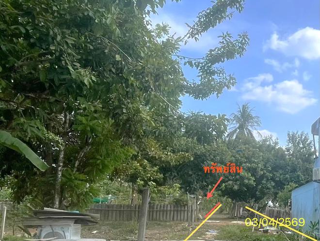 รูป ที่ดินว่างเปล่า 43.9 ตร.วา ย่านตาขาว ตรัง 362,000 - รูปที่ 4/15