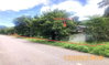 listing thumbnail image 20