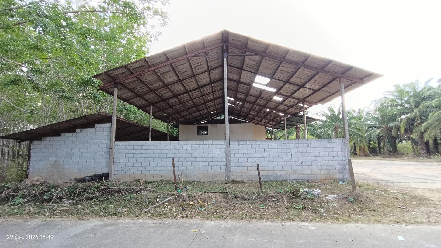picture FACTORY 1620.3 Sq.w. Huai Yot Trang for 4.8M - 18/35