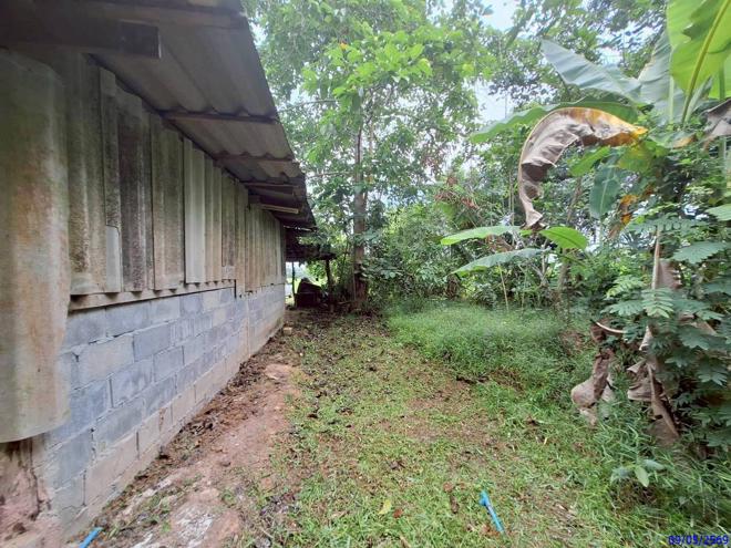 picture HOME 170 Sq.w. Muang Phatthalung Phatthalung for 1.1M - 13/29