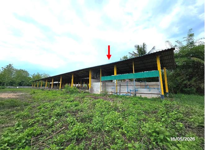 picture FACTORY 1701.4 Sq.w. Tha Wang Pha Nan for 11.3M - 15/39