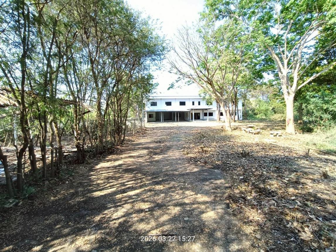 picture HOME 2130 Sq.w. Sawaeng Ha Angthong for 3.5M - 24/45