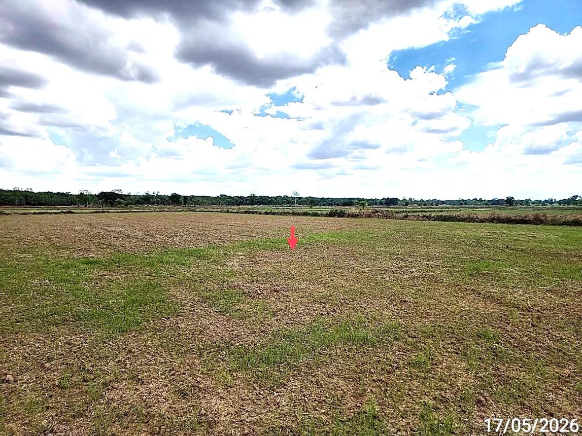 picture LAND 1522.1 Sq.w. Kosum Phisai Maha Sarakham for 419,000 - 16/25