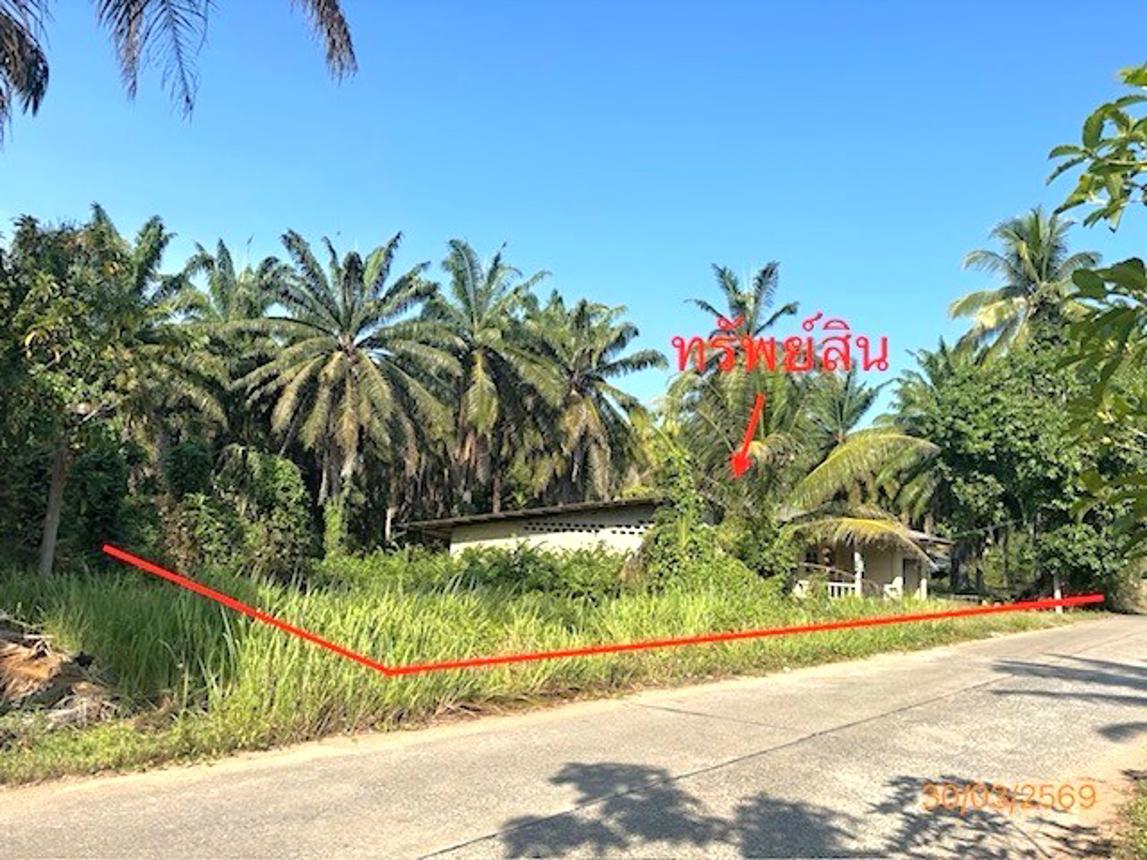 picture HOME 4176 Sq.w. Prasaeng Surat Thani for 3.7M - 50/55