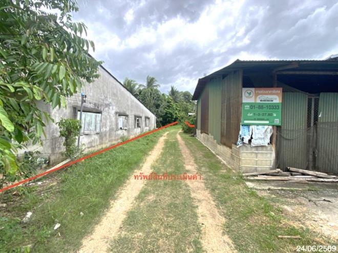 picture LAND 727.8 Sq.w. Rattaphum Songkhla for 8M - 8/21