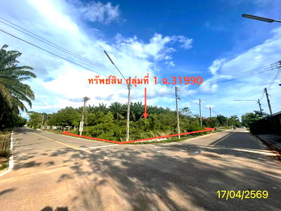 Land for sale Palian Trang : LAND 564.2 Sq.w. Palian Trang for 4.2M
