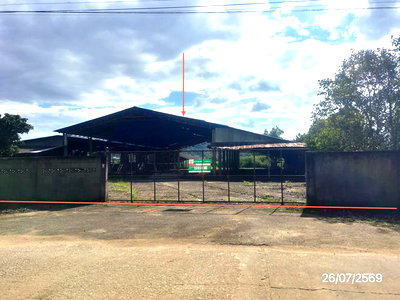 โรงงาน เชียงราย : โกดัง 1579 ตร.วา เวียงป่าเป้า เชียงราย 4M