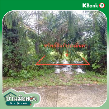 picture LAND 1463.3 Sq.w. Palian Trang for 2.9M - 19/21