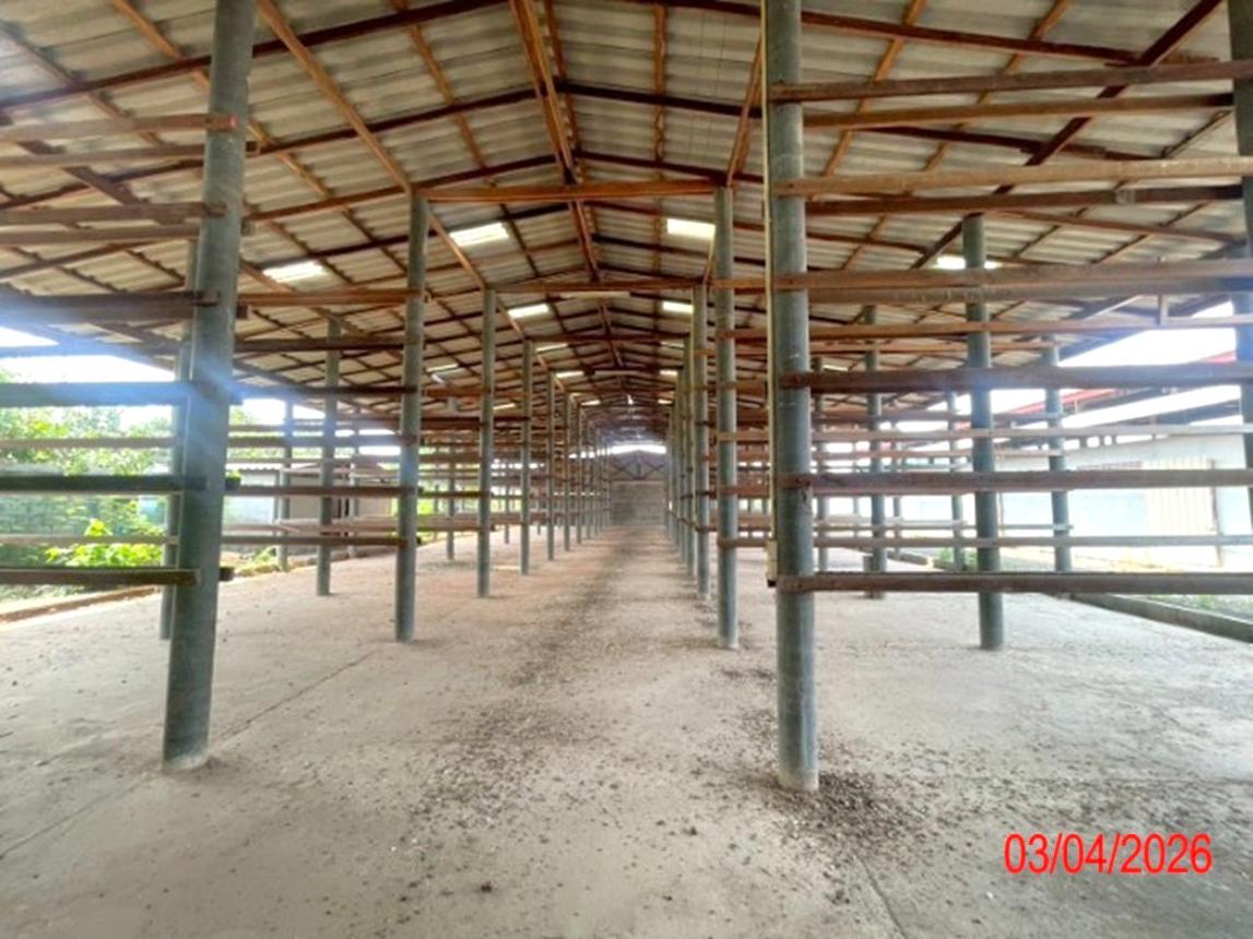 รูป โกดัง 395.1 ตร.วา บ้านโฮ่ง ลำพูน 1.4M - รูปที่ 35/45