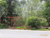 listing thumbnail image 16