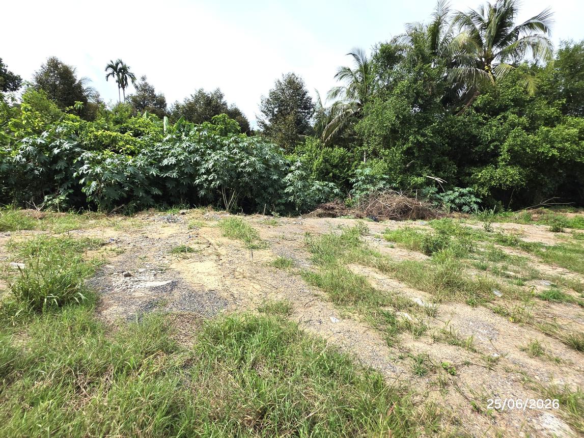 รูป ที่ดินว่างเปล่า 442 ตร.วา กาญจนดิษฐ์ สุราษฎร์ธานี 1.9M - รูปที่ 18/25