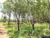 listing thumbnail image 14