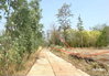 listing thumbnail image 20