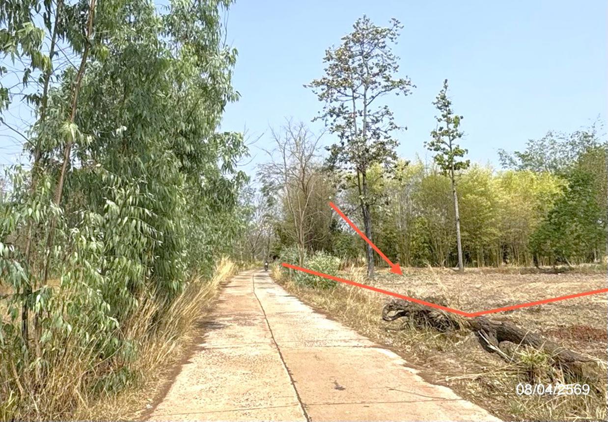 รูป โกดัง 684 ตร.วา หัวตะพาน อำนาจเจริญ 1.2M - รูปที่ 21/25