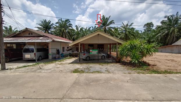 รูป บ้านเดี่ยว 72 ตร.วา คลองท่อม กระบี่ 895,000 - รูปที่ 30/33