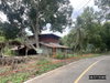 listing thumbnail image 29