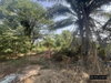 listing thumbnail image 27