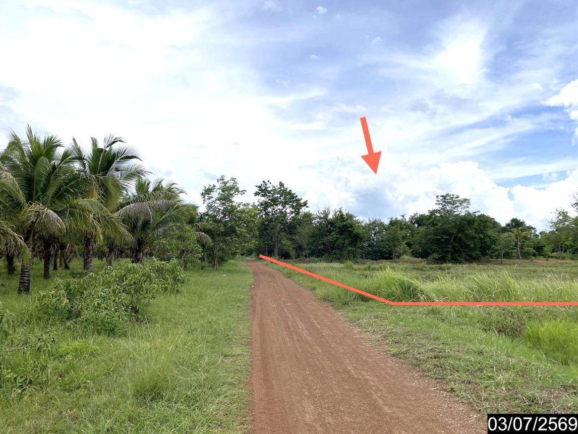 รูป ที่ดินว่างเปล่า 2956 ตร.วา นากลาง หนองบัวลำภู 5M - รูปที่ 20/25