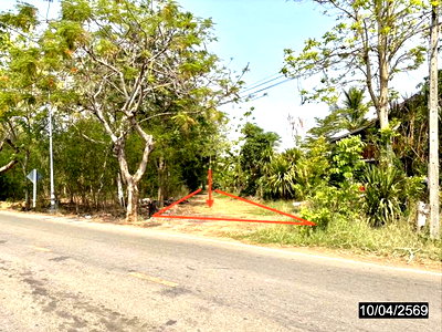 Land for sale Chaiyaphum : LAND 10632 Sq.w. Kaeng Khlo Chaiyaphum for 2.8M