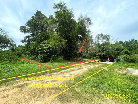 LAND 358.5 Sq.w. Hat Yai Songkhla for 2.1M
