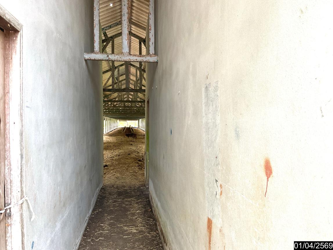 picture LAND 1709.6 Sq.w. Pa Bon Phatthalung for 2.5M - 15/25