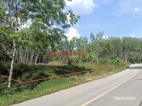 รูป ที่ดินว่างเปล่า 3226.4 ตร.วา ห้วยยอด ตรัง 2.4M - รูปที่ 16/19