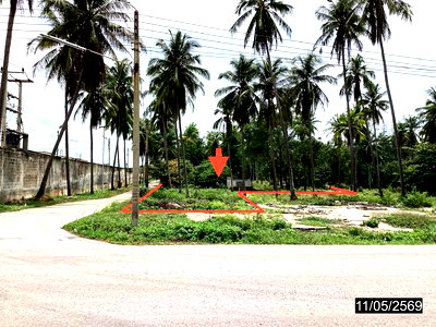 ที่ดิน หลังสวน ชุมพร : ที่ดินว่างเปล่า 1920 ตร.วา หลังสวน ชุมพร 2.9M