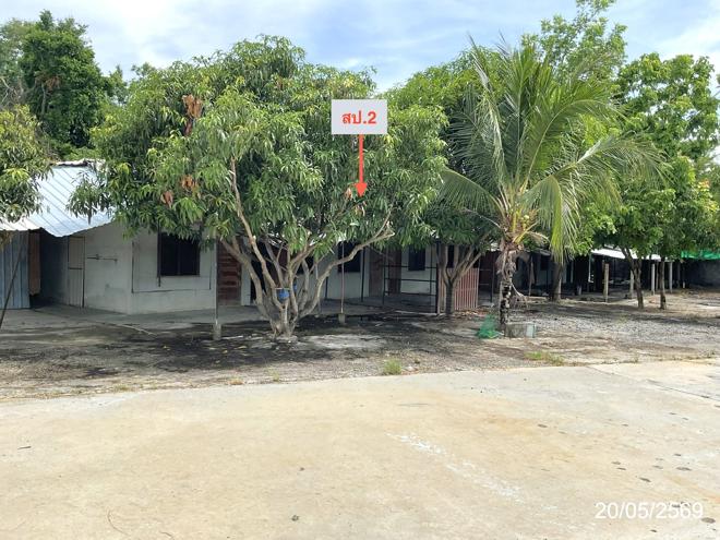 picture OFFICE 4435 Sq.w. Ban Bung Chonburi for 44.6M - 7/41