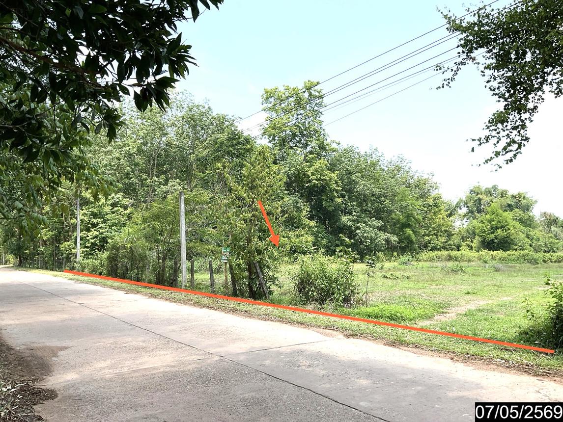 รูป ที่ดินว่างเปล่า 2302 ตร.วา ศรีวิไล บึงกาฬ 5.8M - รูปที่ 13/25