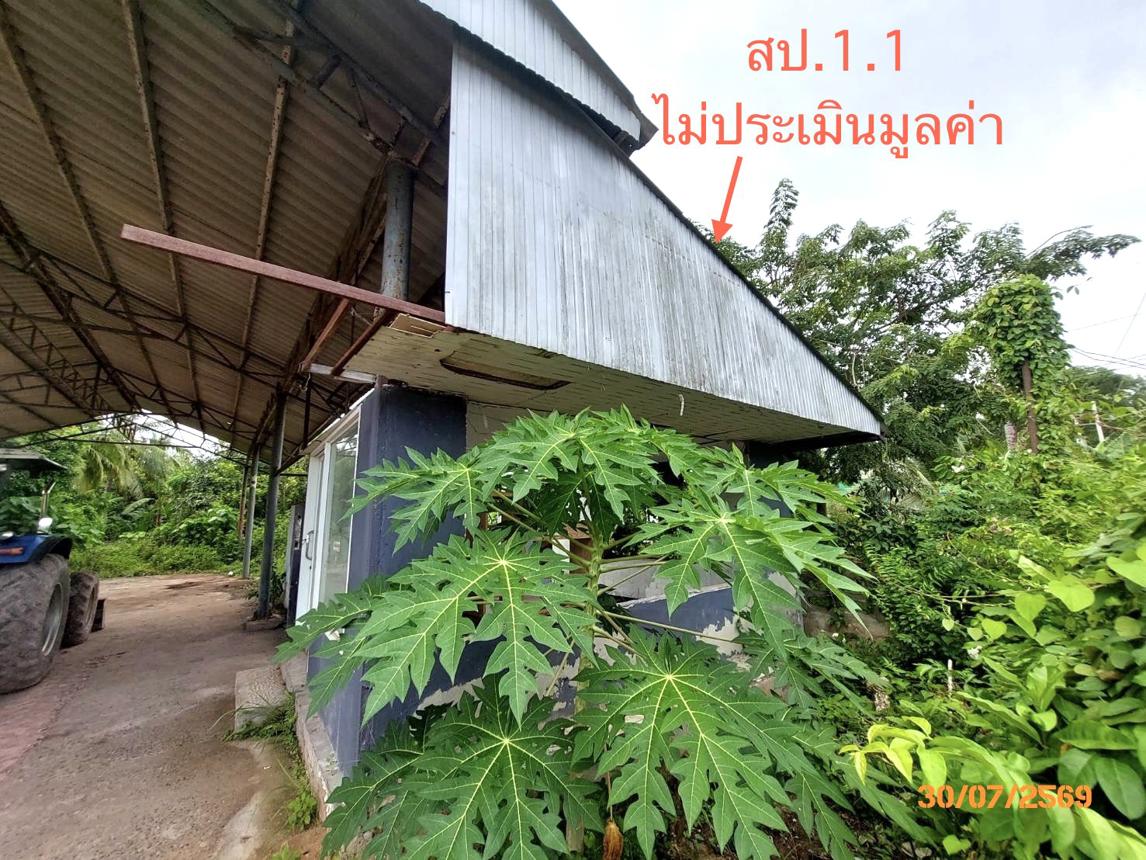 รูป โกดัง 622.6 ตร.วา เมืองสุราษฎร์ธานี สุราษฎร์ธานี 2.7M - รูปที่ 19/25