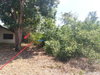 listing thumbnail image 10