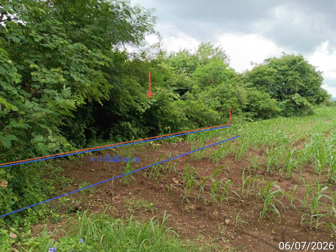 รูป ที่ดินว่างเปล่า 2774 ตร.วา เขาค้อแกรนด์วิลล์ เมืองเพชรบูรณ์ เพชรบูรณ์ 2.2M - รูปที่ 20/35