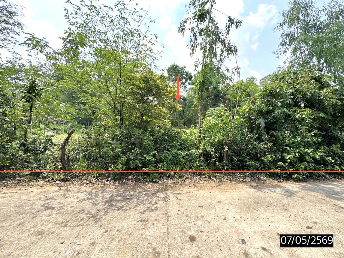 รูป ที่ดินว่างเปล่า 277.4 ตร.วา เมืองสรวง ร้อยเอ็ด 555,000 - รูปที่ 8/17