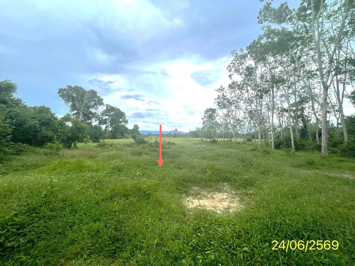 picture LAND 785 Sq.w. Hat Yai Songkhla for 4.5M - 13/21