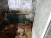 listing thumbnail image 30