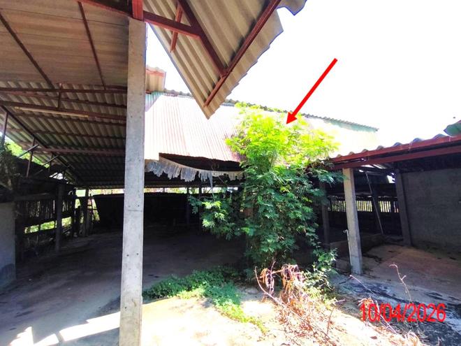 รูป บ้านเดี่ยว 205 ตร.วา เสริมงาม ลำปาง 1.2M - รูปที่ 19/45