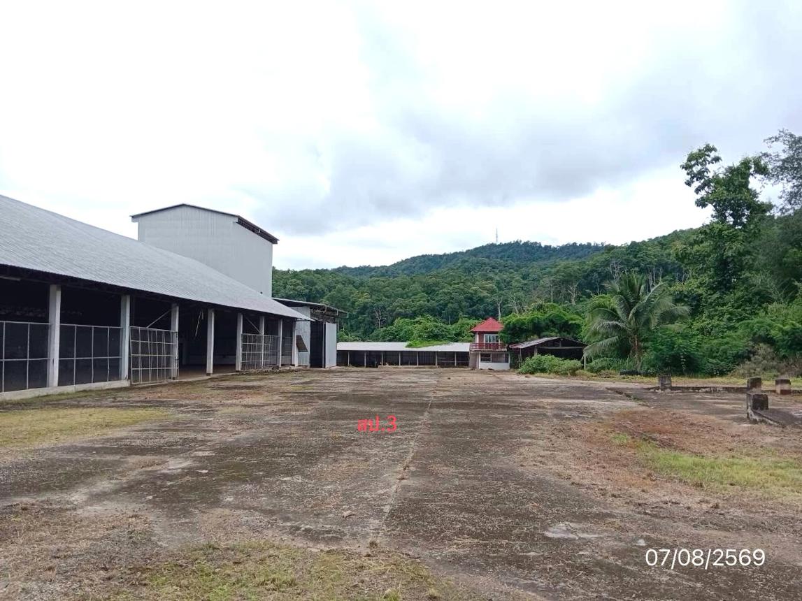 รูป โกดัง 2632 ตร.วา ขุนยวม แม่ฮ่องสอน 14.8M - รูปที่ 31/45