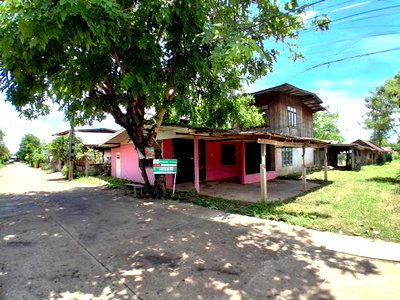 ขายบ้านเดี่ยว : บ้านเดี่ยว 133 ตร.วา ลืออำนาจ อำนาจเจริญ 717,000