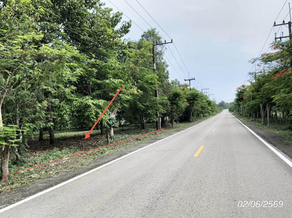 picture LAND 168.8 Sq.w. Na Di Prachinburi for 902,000 - 14/19