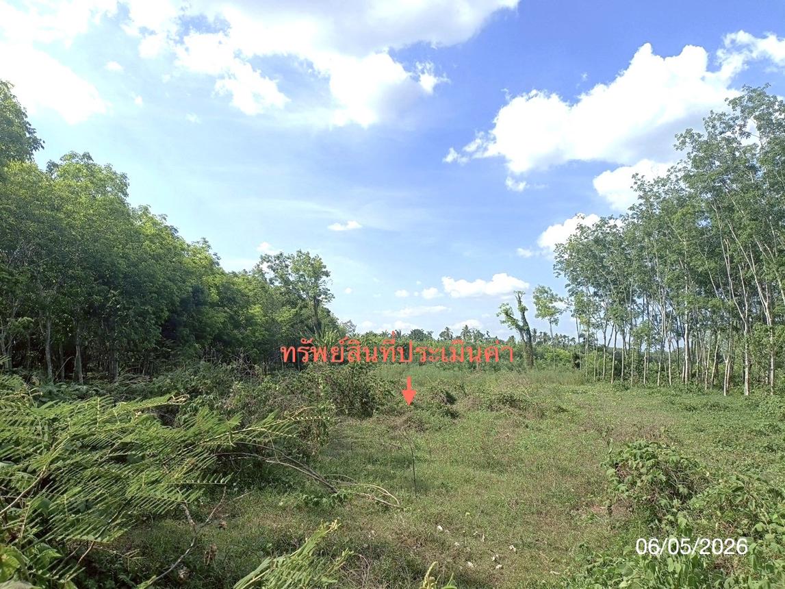 รูป ที่ดินว่างเปล่า 3226.4 ตร.วา ห้วยยอด ตรัง 2.4M - รูปที่ 12/19