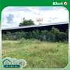 listing thumbnail image 42
