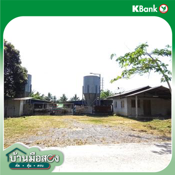 รูป ฟาร์ม 1603 ตร.วา เมืองพัทลุง พัทลุง 5.7M - รูปที่ 41/43
