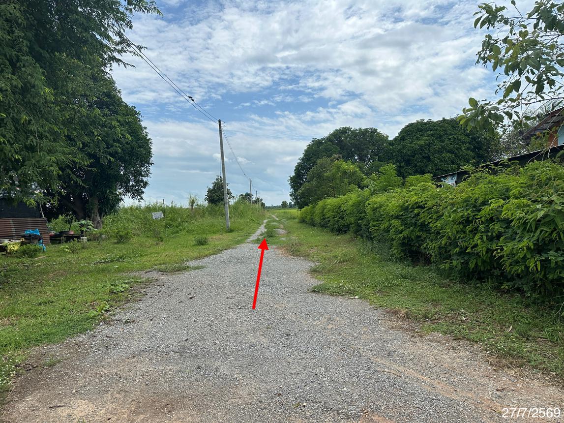 picture LAND 2520 Sq.w. Wang Thong Phitsanulok for 1.4M - 15/19