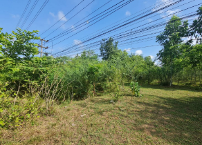 picture PROPERTY 21178 Sq.w. Watthana Nakhon Srakaeo for 81.5M - 14/20