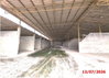 listing thumbnail image 38