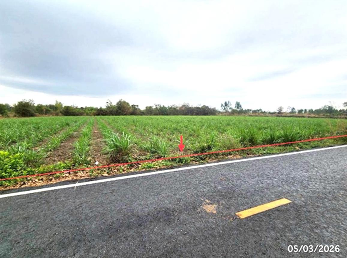 picture LAND 5154 Sq.w. Phon Thong Roi Et for 3.9M - 9/19