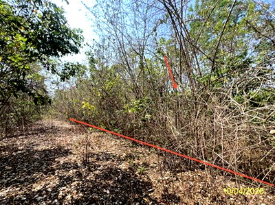 ขายที่ดิน : ที่ดินว่างเปล่า 238 ตร.วา ภูพนา รีสอร์ท จอมบึง ราชบุรี 141,000
