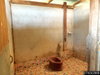listing thumbnail image 21